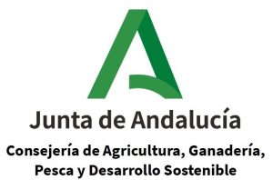 Federación Andaluza de Espeleología, Cuevas, Simas, Cañones, Barrancos