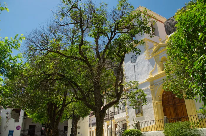 Villaluenga06